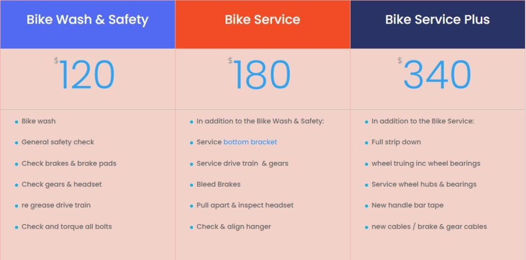 bicycle service options 